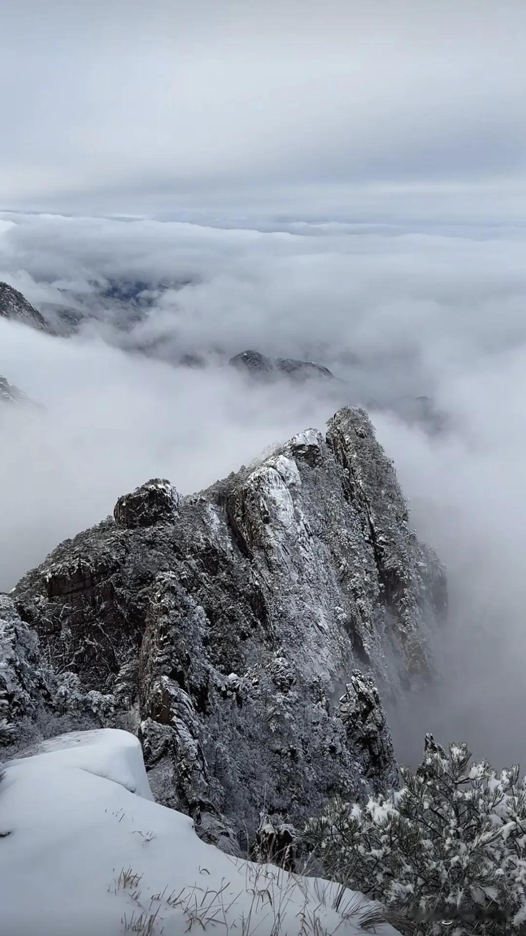 黄山上有阳光的地方积雪基本化了。前几天黄山上下大雪，现在雪消融了，云海和水汽交