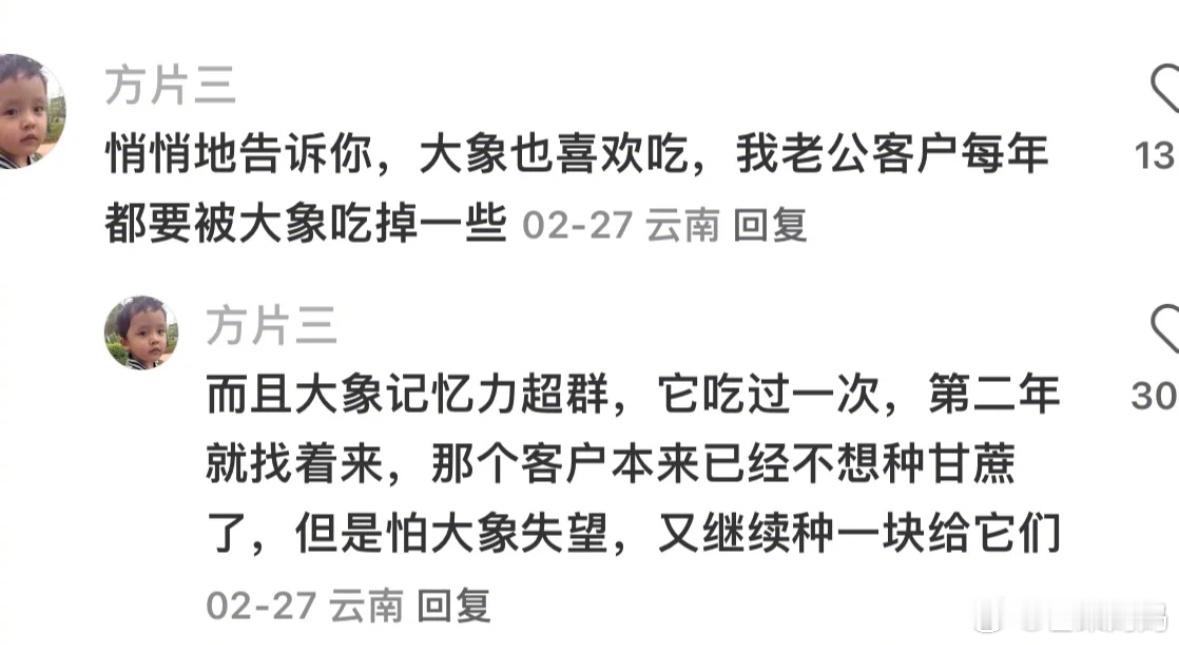 原谅这个世界一分钟🥺原来云南人民会特地为迁徙的大象种一片地​​​