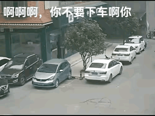 哈哈哈哈哈……我笑喷了！车祸发生以后，当那个司机下来以后，我万万没想到，会是这样