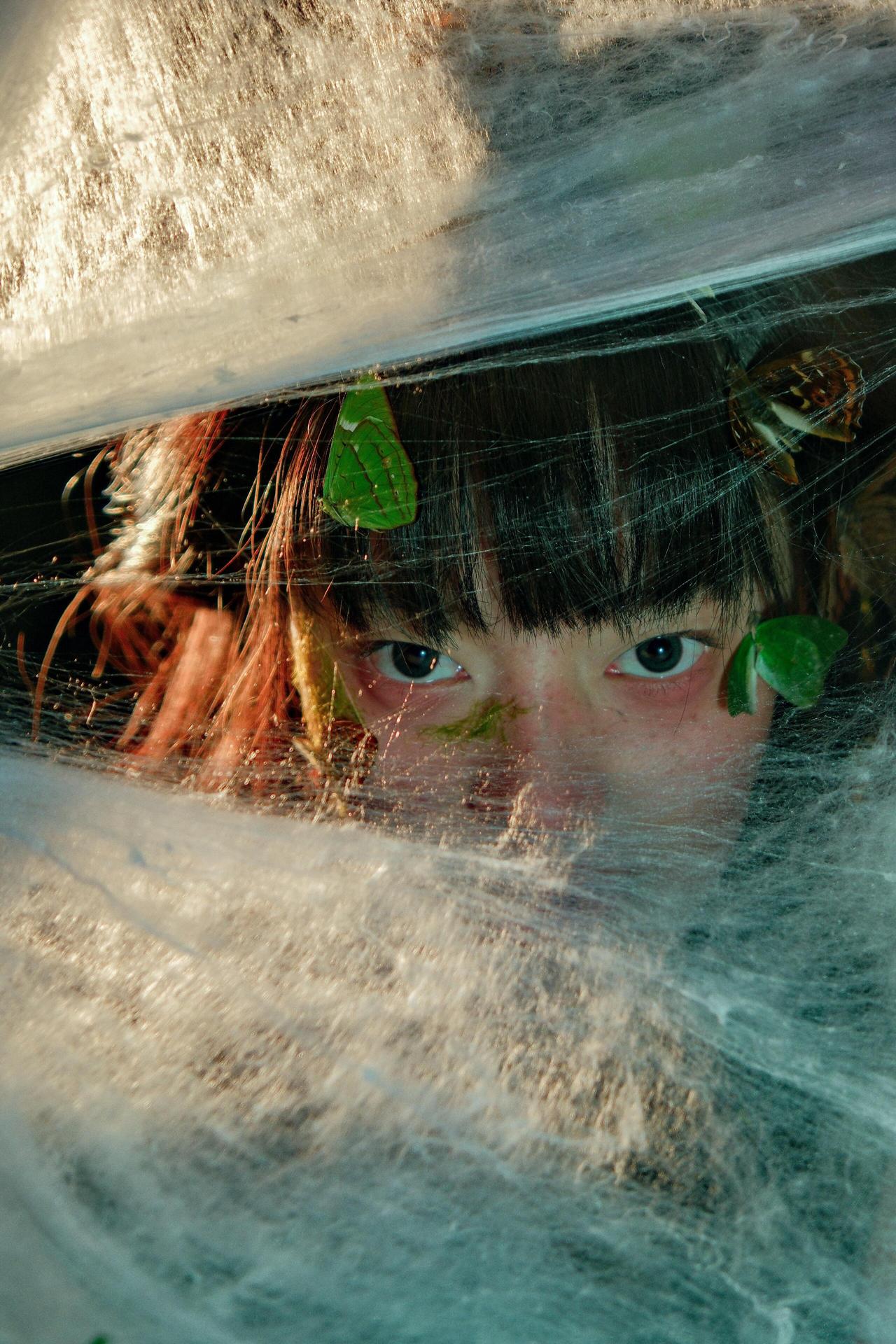 我们看到这组摄影作品中，人物已完全融入了茂密的针叶林背景中，通过前景的虚化与弥漫