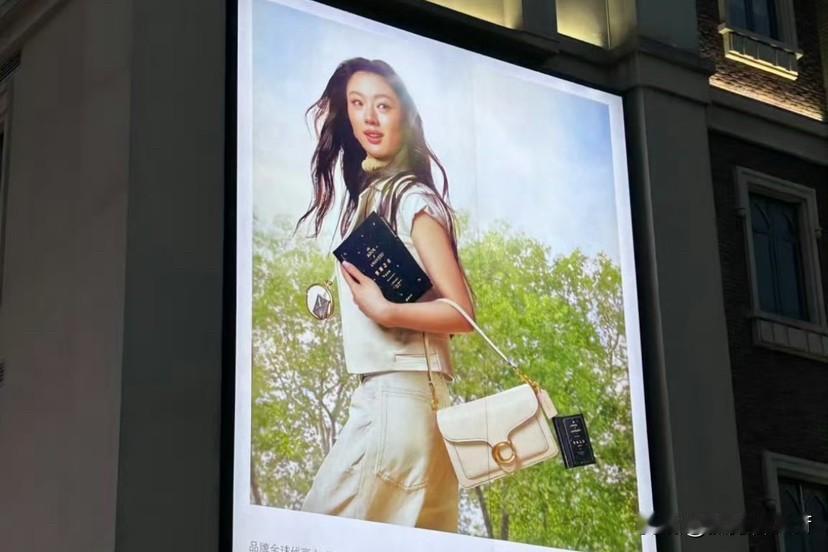 单依纯被综艺当流量靶子，清醒点！别让纯妹妹成了综艺博流量的工具人！一场精心策