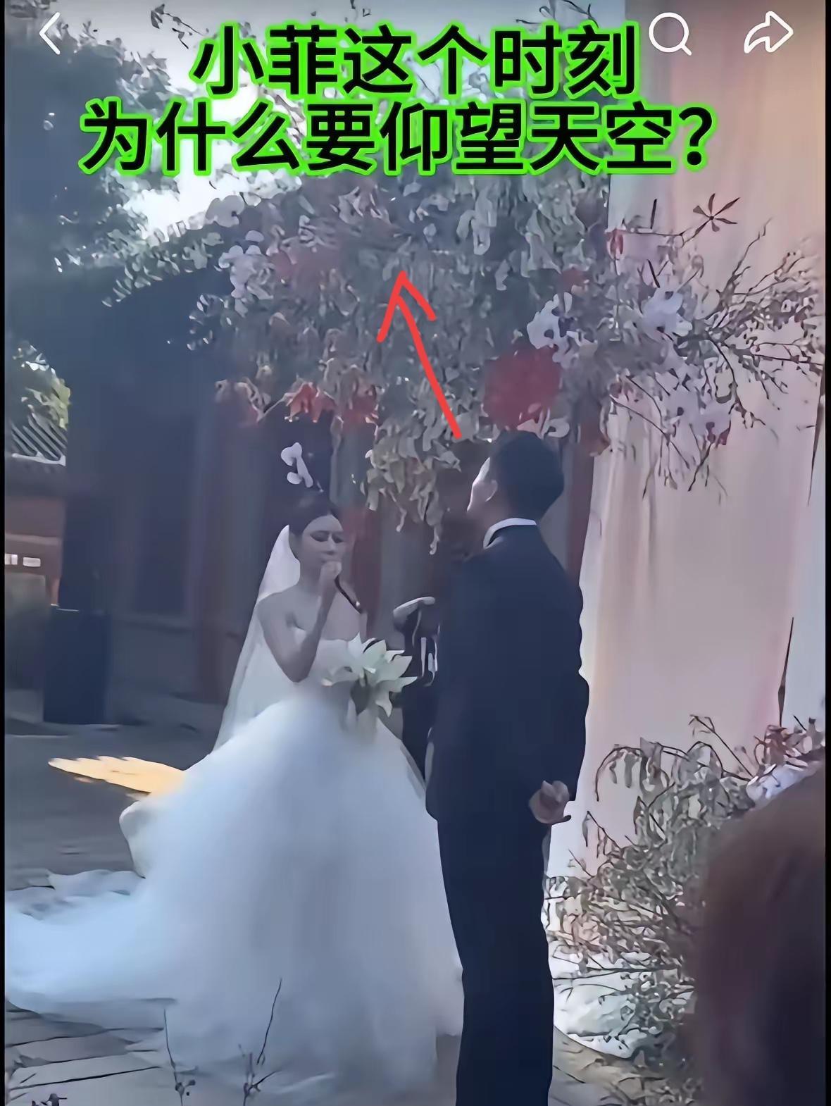 估计全国网今晚最难入睡的人是马筱梅！两个人都是二婚了，马筱梅就表现的特别稳重，