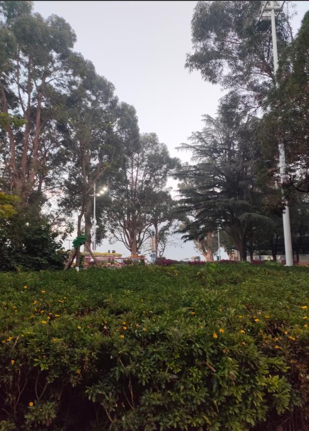 太扎心！中年婚姻里的背叛，竟败给了现实算计！女子出轨被丈夫捉奸在床，本以为会迎