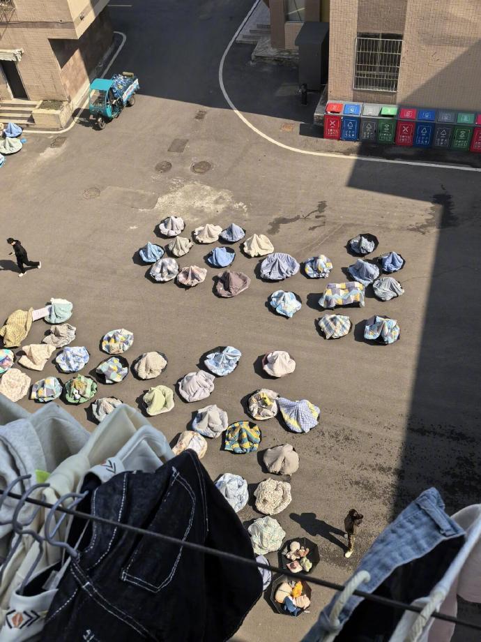 晒被子，中国小孩的仪式感！🌞