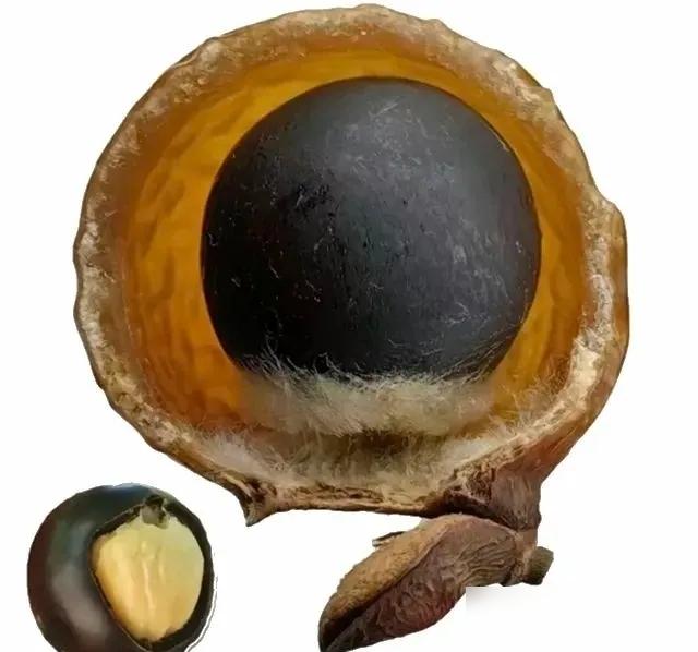 民年大忌，千万不要犯​一不要替别人买药​二不要替别人垫