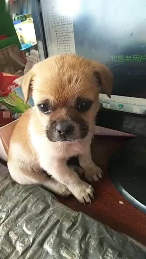 6657573694436395414.jpg?id=0