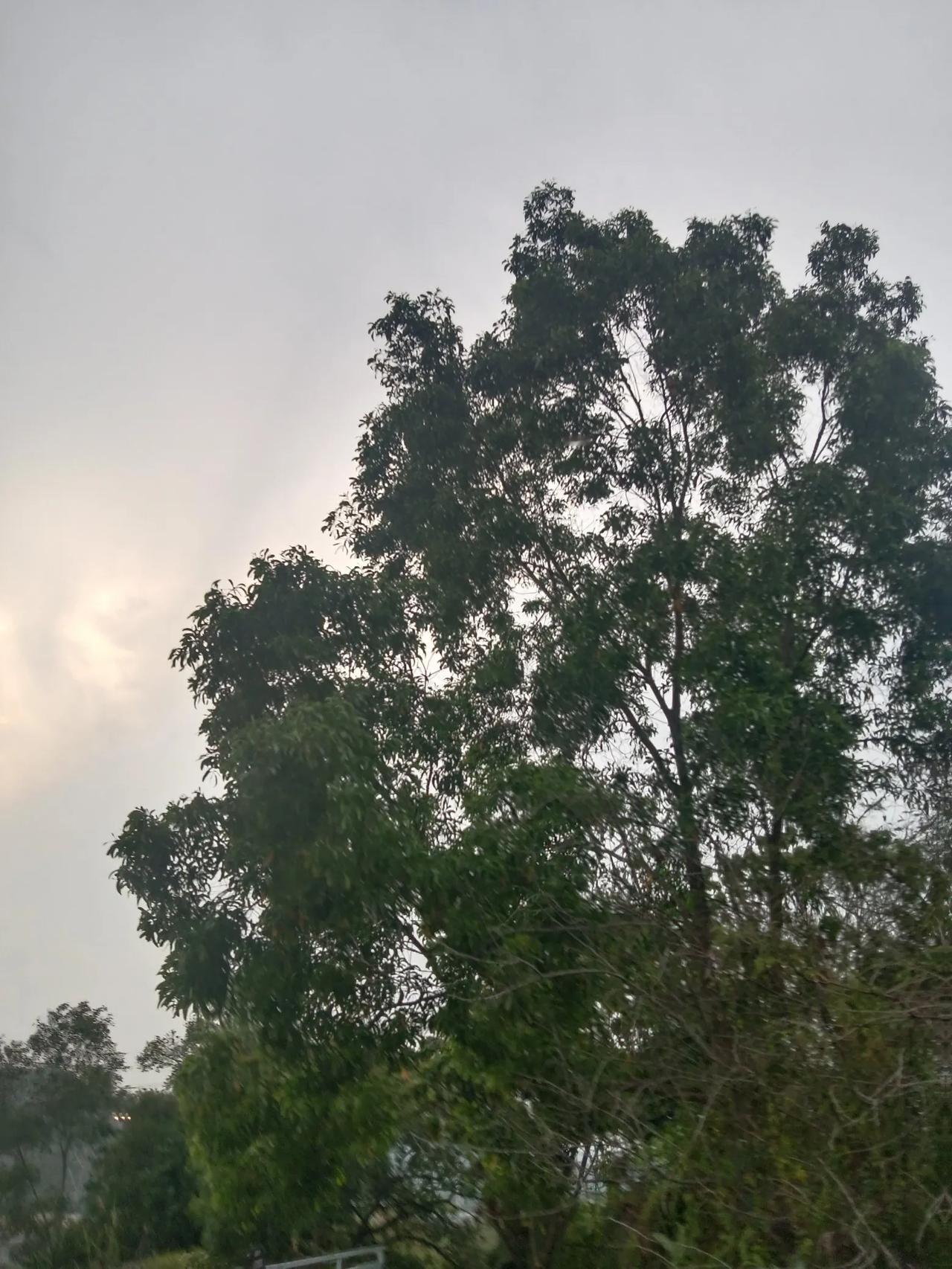 今天在网上刷到一个视频。一位河南的男子发视频，愤怒的叫胖东来搬出河南，搬的越远越