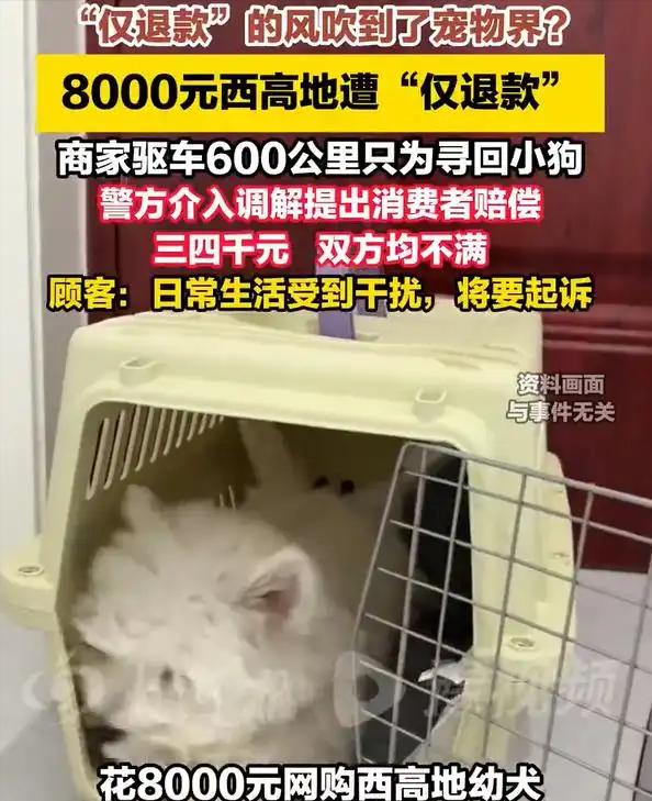 女子卖了一只8000元的宠物狗给一男子，6天后，对方称狗生病了，申请了退货退款。