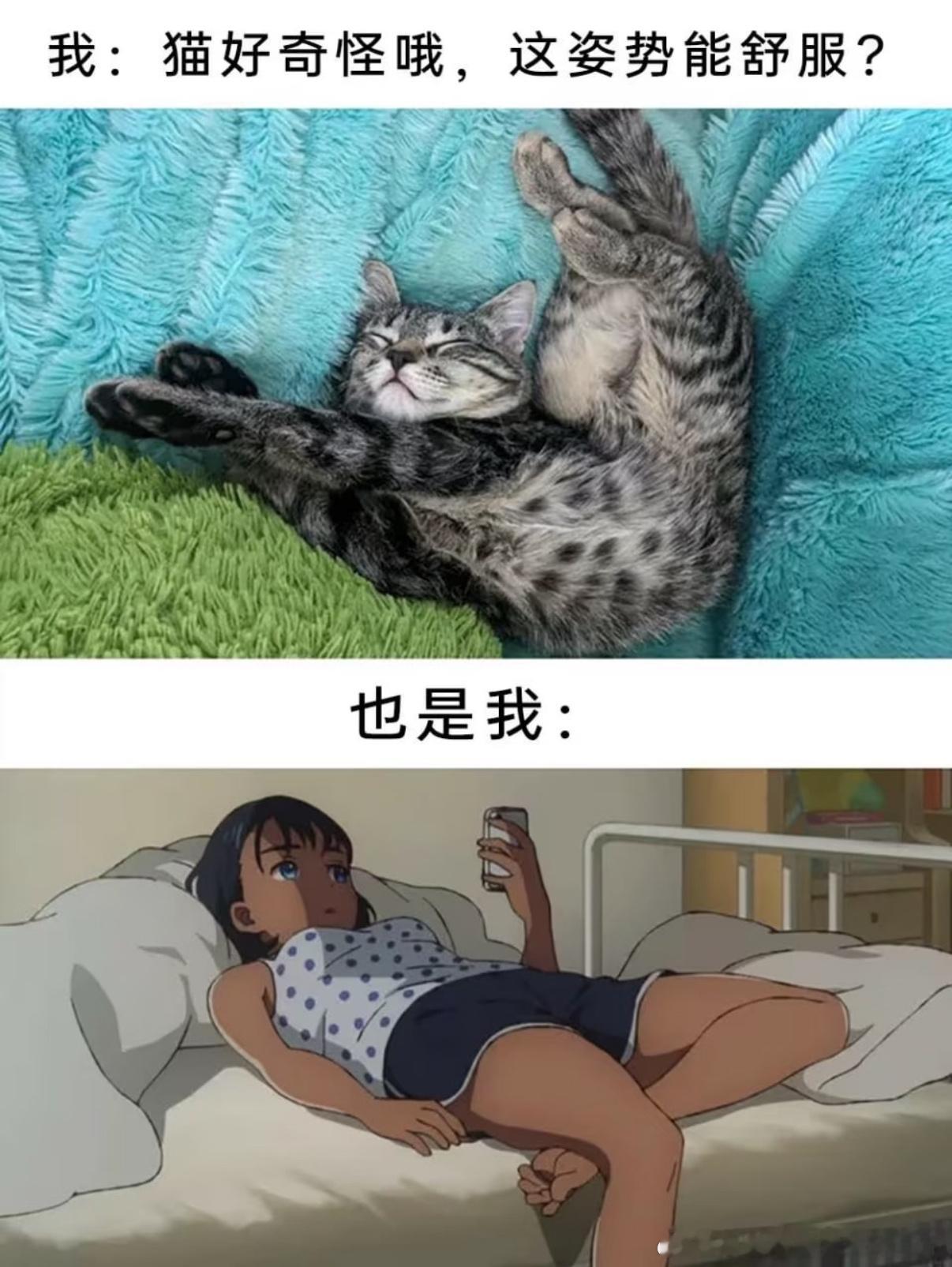 5195哈哈哈哈​​​