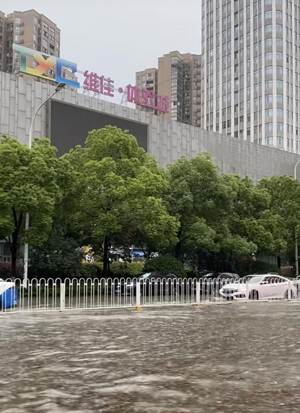 武汉今天的暴雨太猛了！光谷这边直接开启看海模式，维佳体院城门口的路全淹了，车辆在
