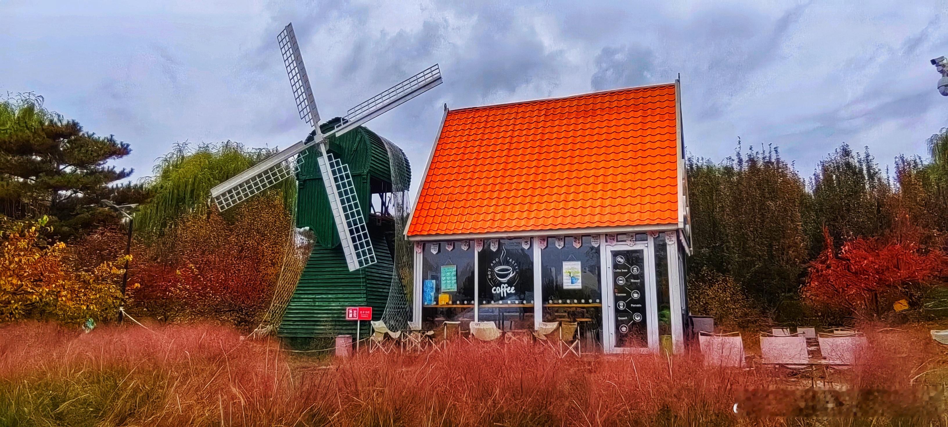  北京世界花卉大观园秋色2025.11.7摄影  