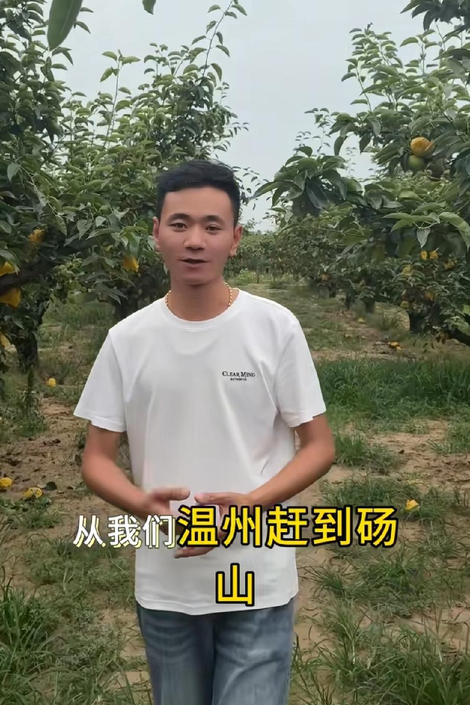 厉怀远请了几个美女一起来做直播，不知道他的的前妻林丽会不会后悔。