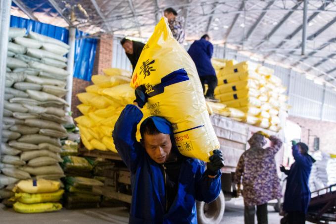 摩根大通的报告里有一个耐人寻味的对比：中国一直在囤积粮食、化肥、能源和工业金属；