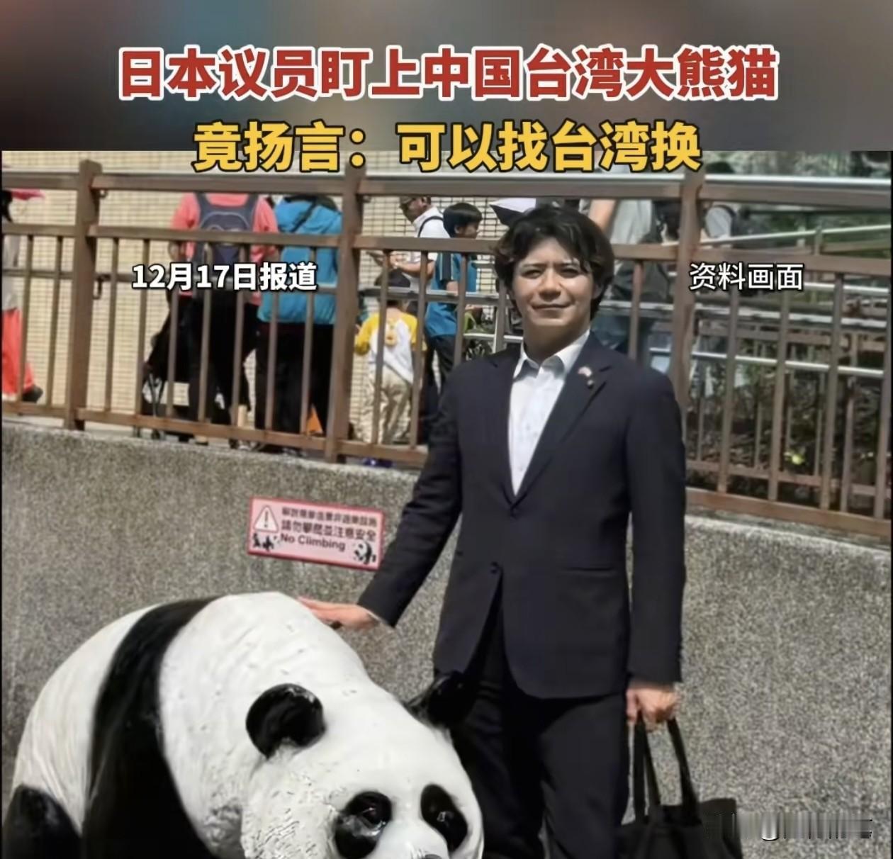 有意思，民进党政客不敢回应日本议员提出要台湾大熊猫的事情。面对近日有日本议员