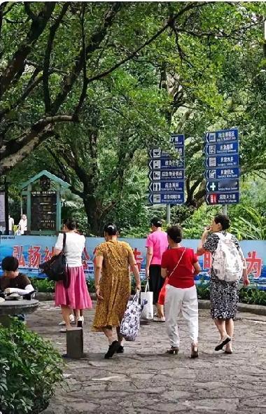 高血压常被大家叫做“隐形杀手”，很多人直到血压突然飙升，才后知后觉发现问题有多严