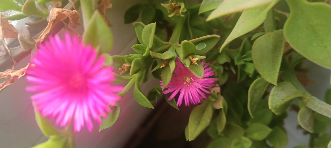 有没有发现，我们身边有很多50、60后，银行里存了上百万，也有退休保障，却不舍得