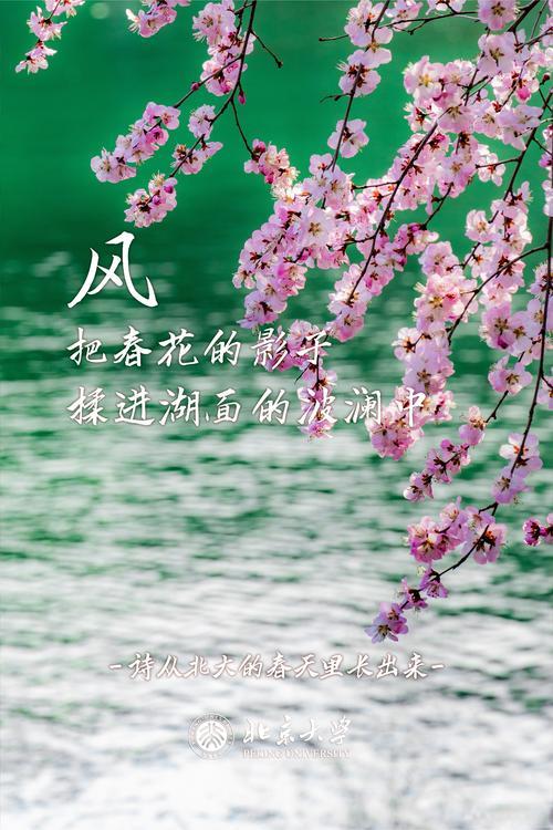 上联:冬雪千山添画意，下联春风万水增诗情