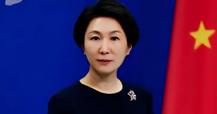 津巴布韦请求债务重组, 中国可以商量, 但别指望帮西方收拾烂摊子