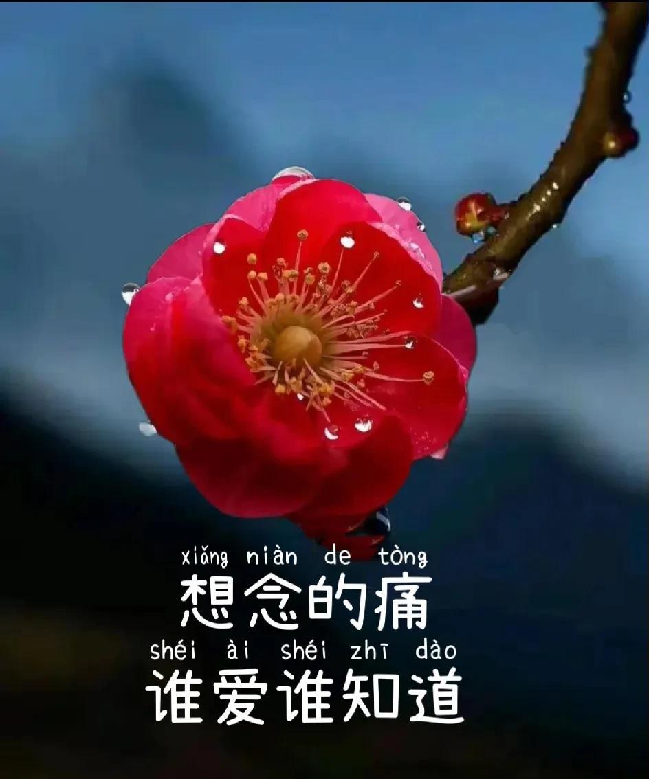 人到中年遇上一个钟情之人却难做成夫妻内心挣扎不已早知相遇绊人心何不当初