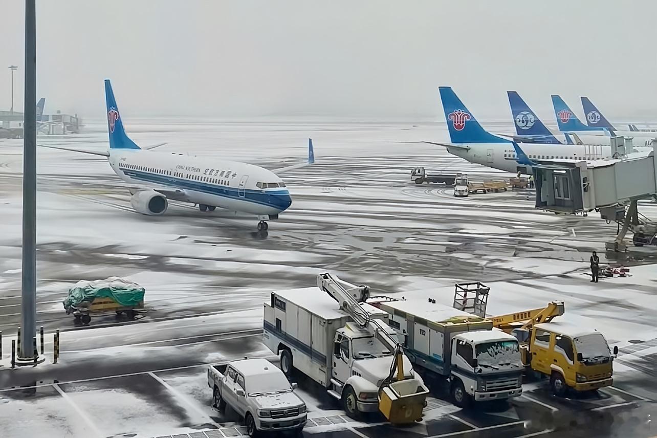 河南队【快训】1月19日23时许，鉴于河南队选乘的CZ6601航班因郑州大雪延误