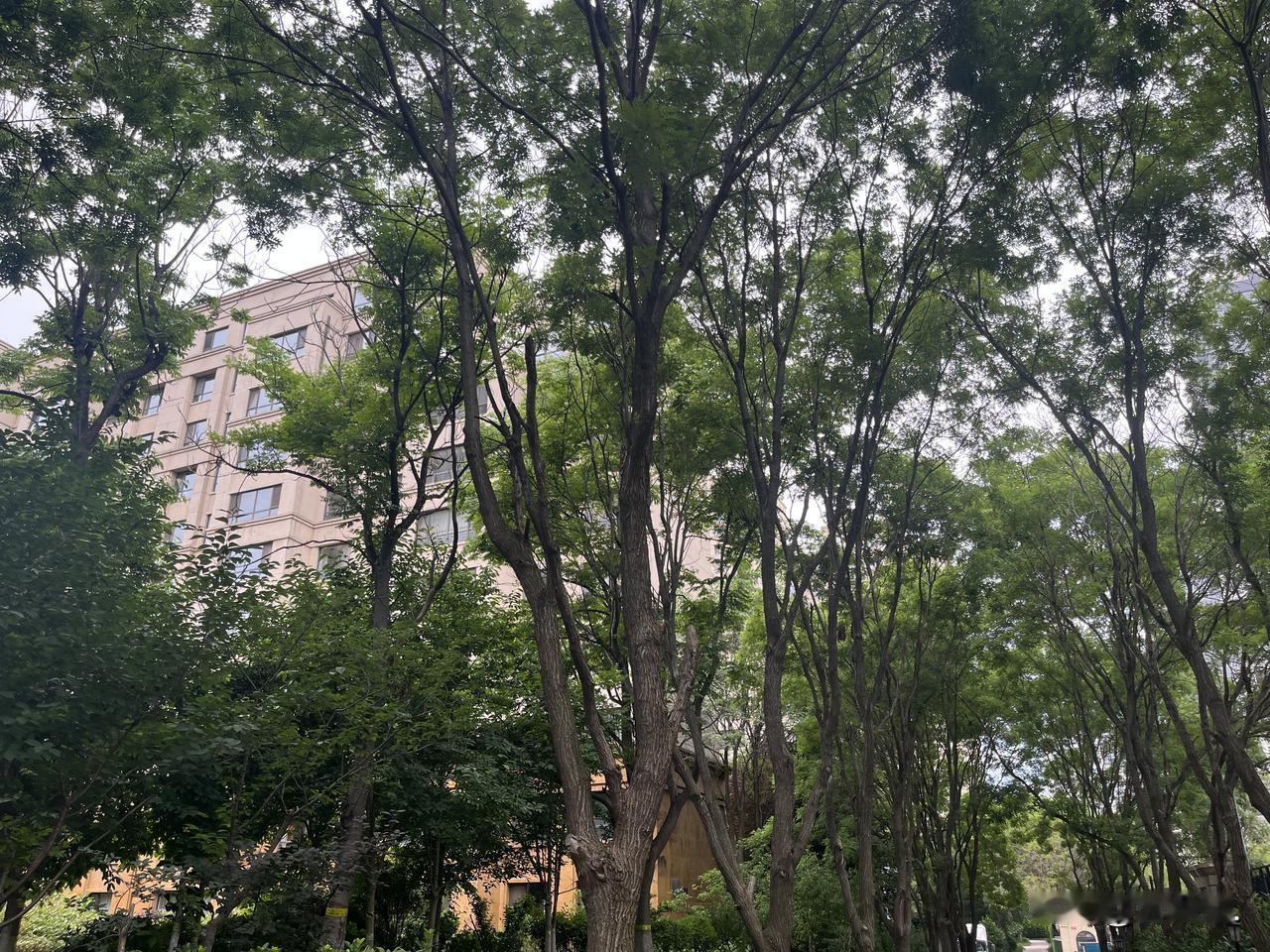 这几天，鲁商集团，迎来了新一任总经理。葛总，任务艰巨啊！鲁商集团在山东可是赫