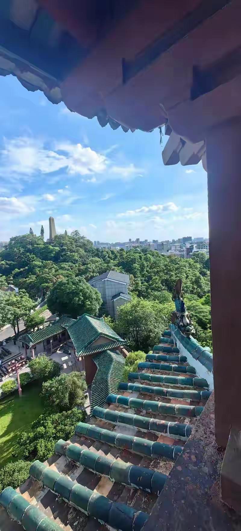 我承认，去广州出差之前，我小看这座城市了。从上海虹桥飞广州白云，出发前我想得