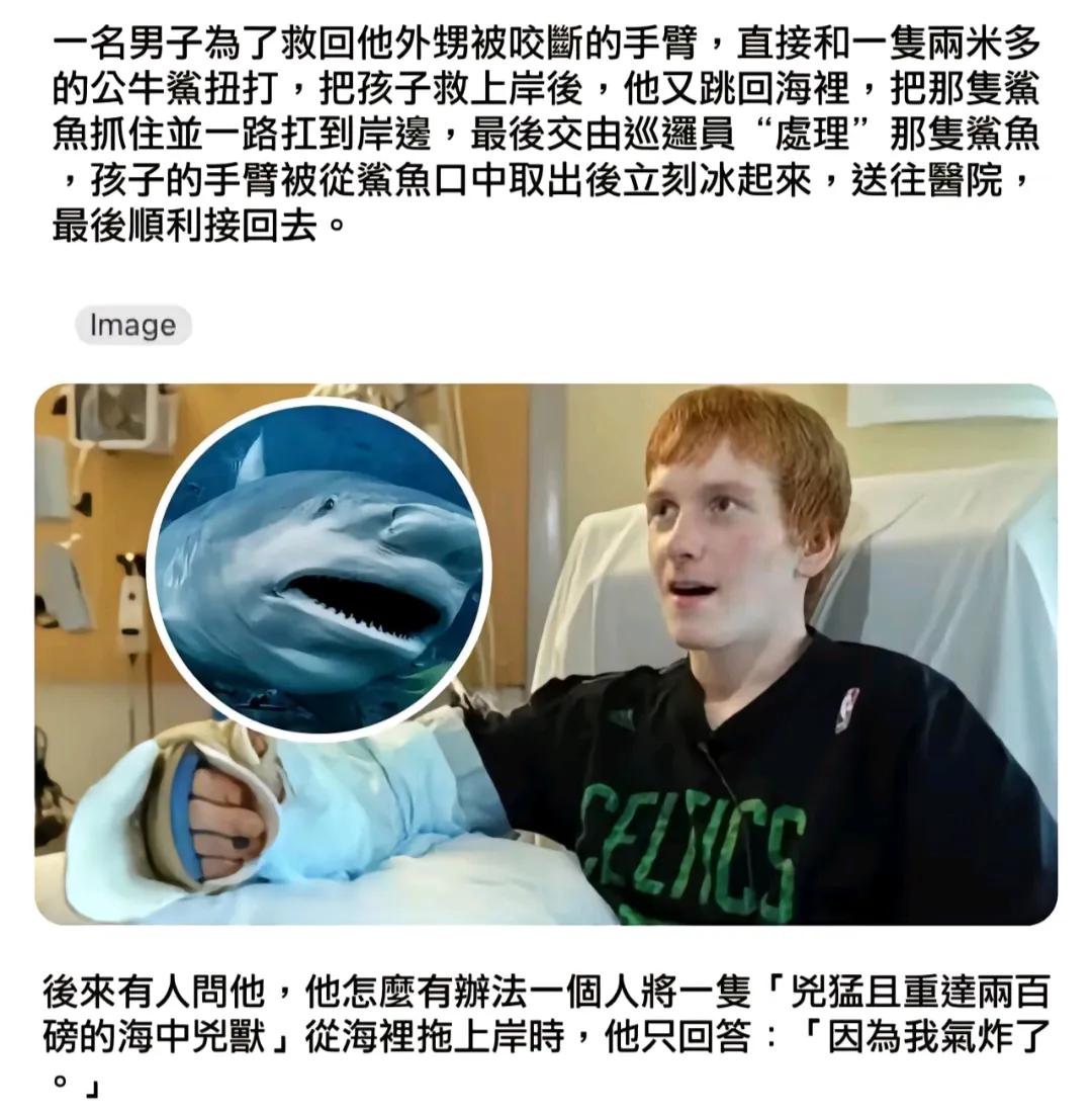 网友神评论：还是姐姐比较可怕