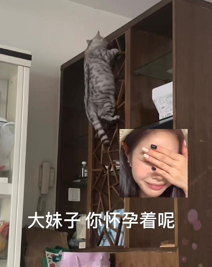 猫:只有强者才配成为我的孩子哈哈哈哈哈​​​