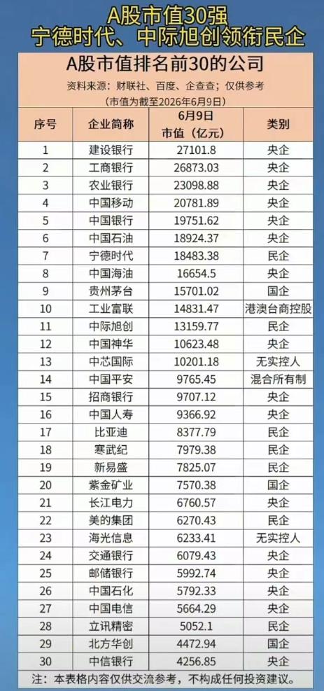 A股市值前30名的企业。只能说比亚迪，宁德时代是真厉害。因为上榜的基本都是国内