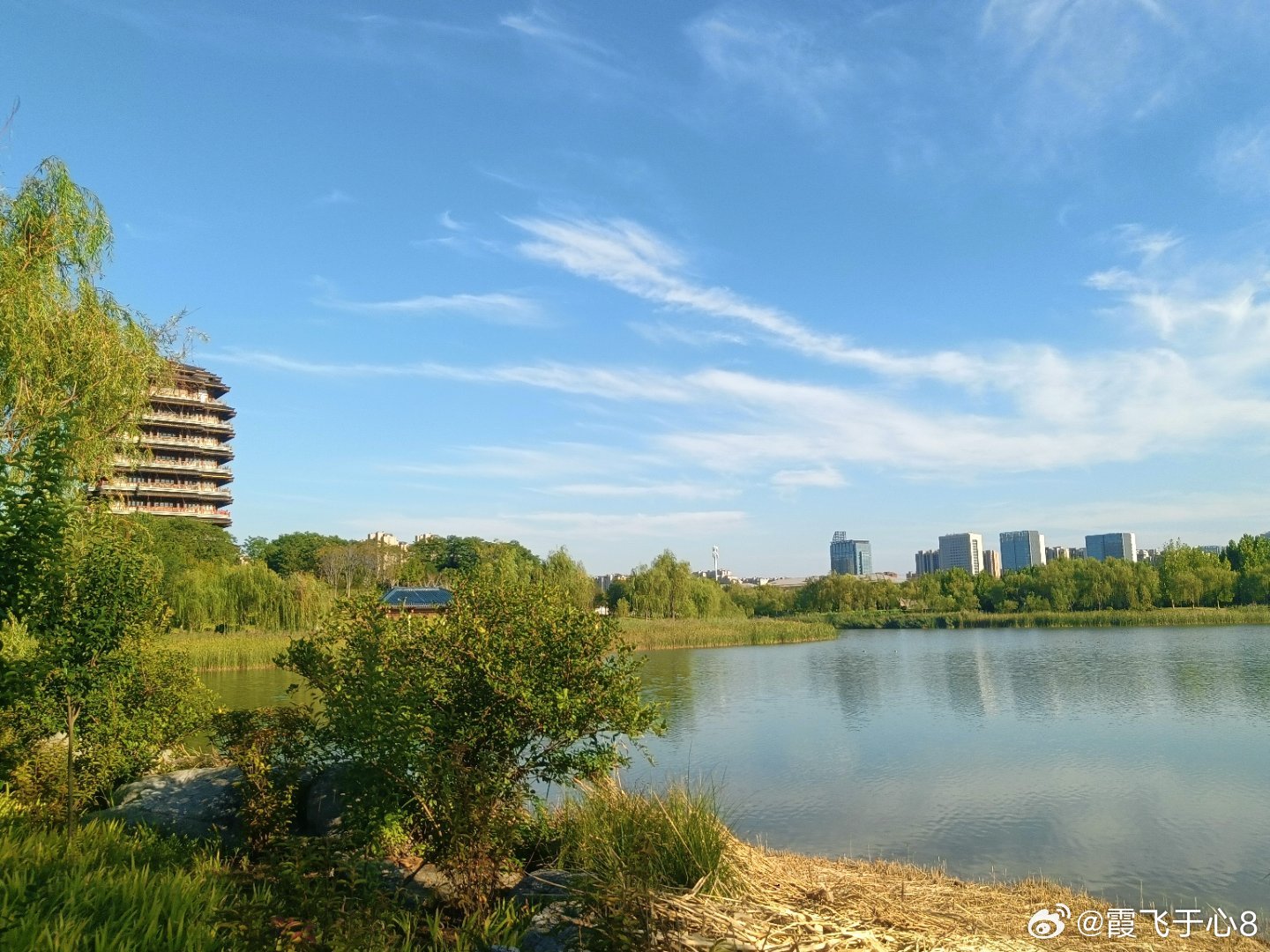 #手机摄影#沐浴阳光灿烂很是惬意了，转一转欣赏风光无限​