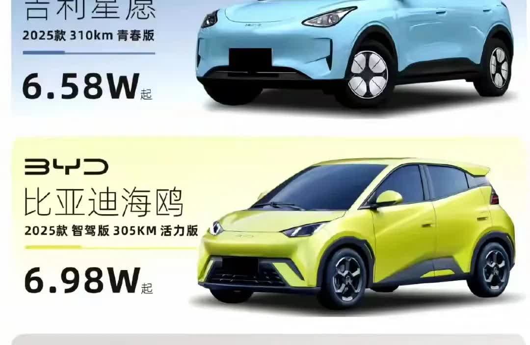 车企就是这样满足人民需求的吗？星愿，漂亮，可是没智驾！！！海鸥，智驾，可