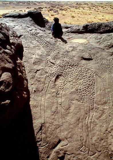 撒哈拉沙漠中距今8000年的长颈鹿岩画，被称为达布斯长颈鹿岩画，位于尼日尔，是迄