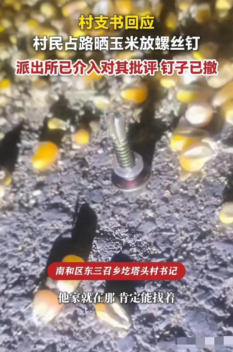 坏透了！河北邢台，一村民为了晒自家玉米，不光把整条村道霸占，还故意在路面藏钢钉，