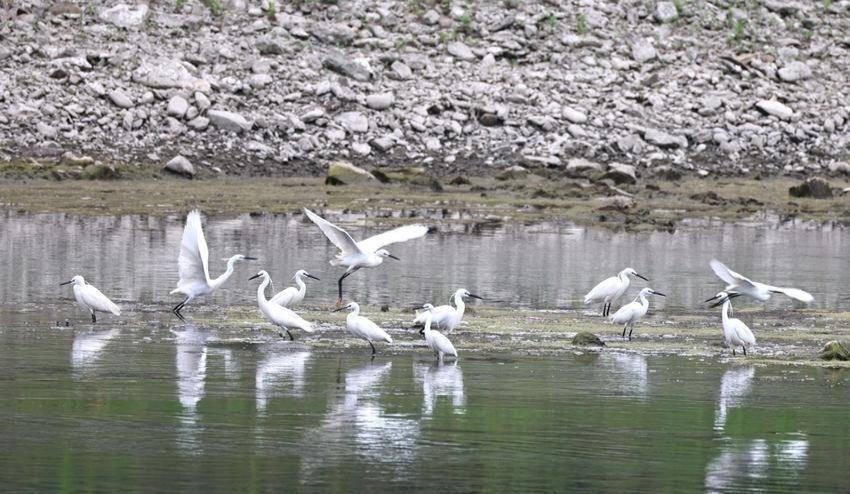 站桩的核心思想站桩锻炼效果很好，其核心思想是6个字，精、气、神、手、眼