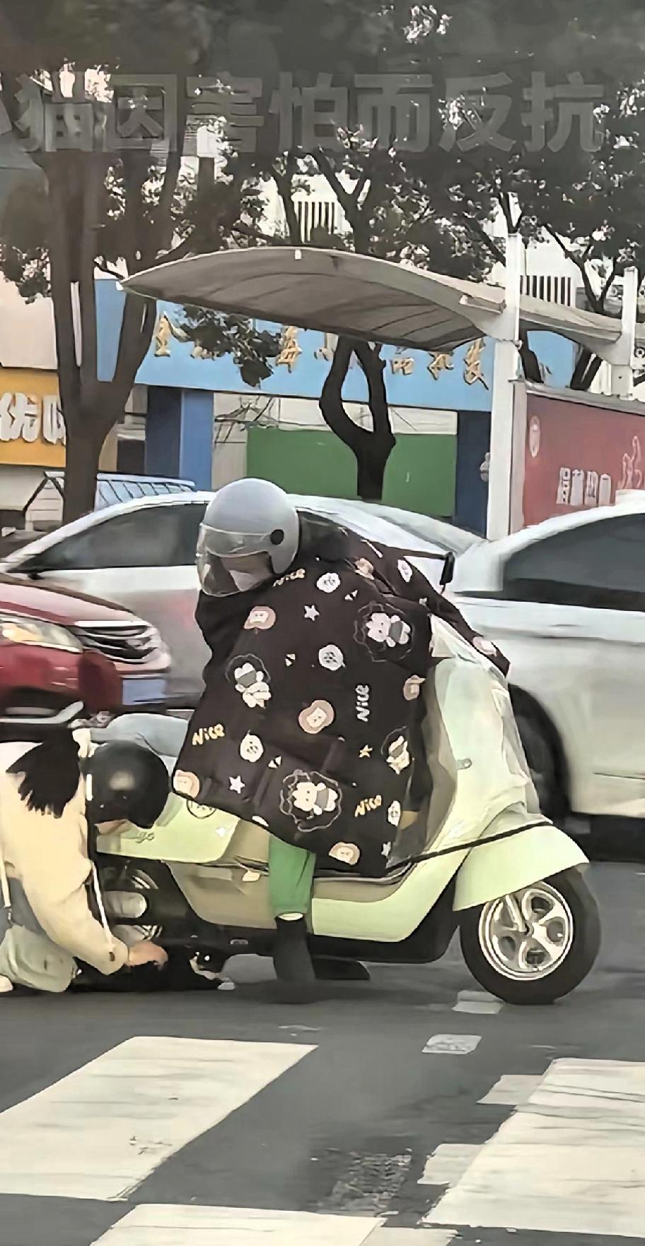 感动！善良是刻在骨子里的！姑娘你火了！近日，江苏常州，一只流浪猫一瘸一拐在红