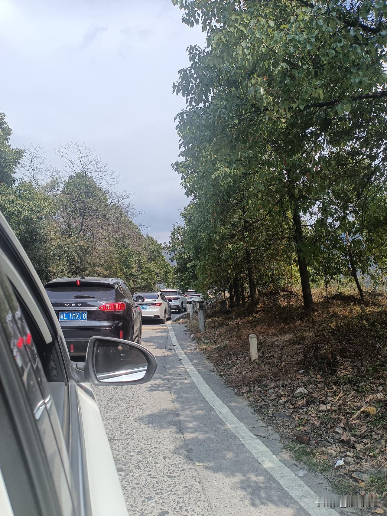 2026年春节返程高峰期间，大量车主选择在深夜或凌晨出发，试图通过“错峰出行”