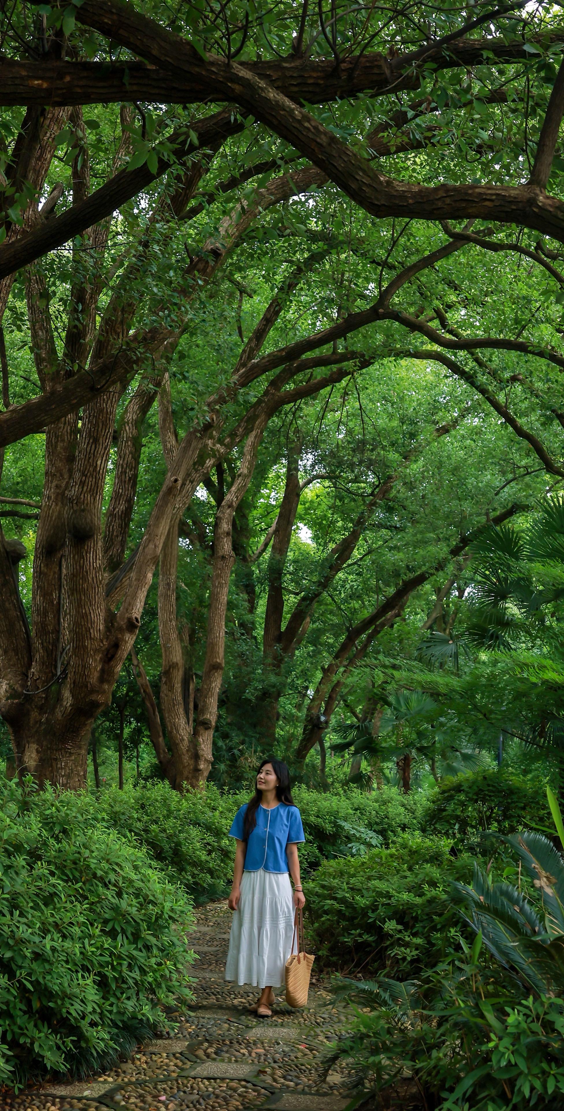 真冷门！东湖居然藏着这么美的绿野仙踪🌳。又又又在东湖挖到宝了 临湖观...