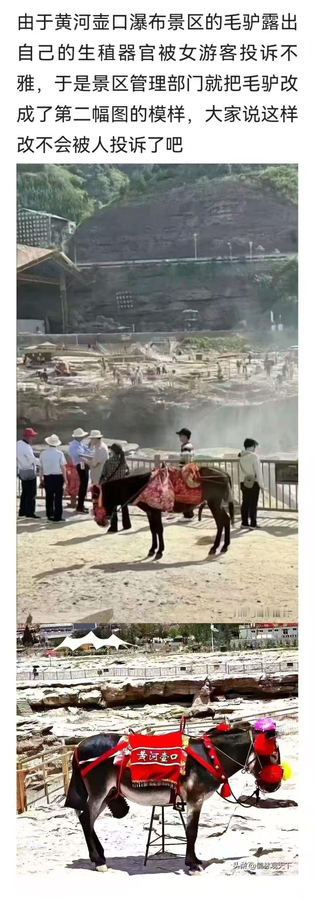 就，就挺离谱的​​​