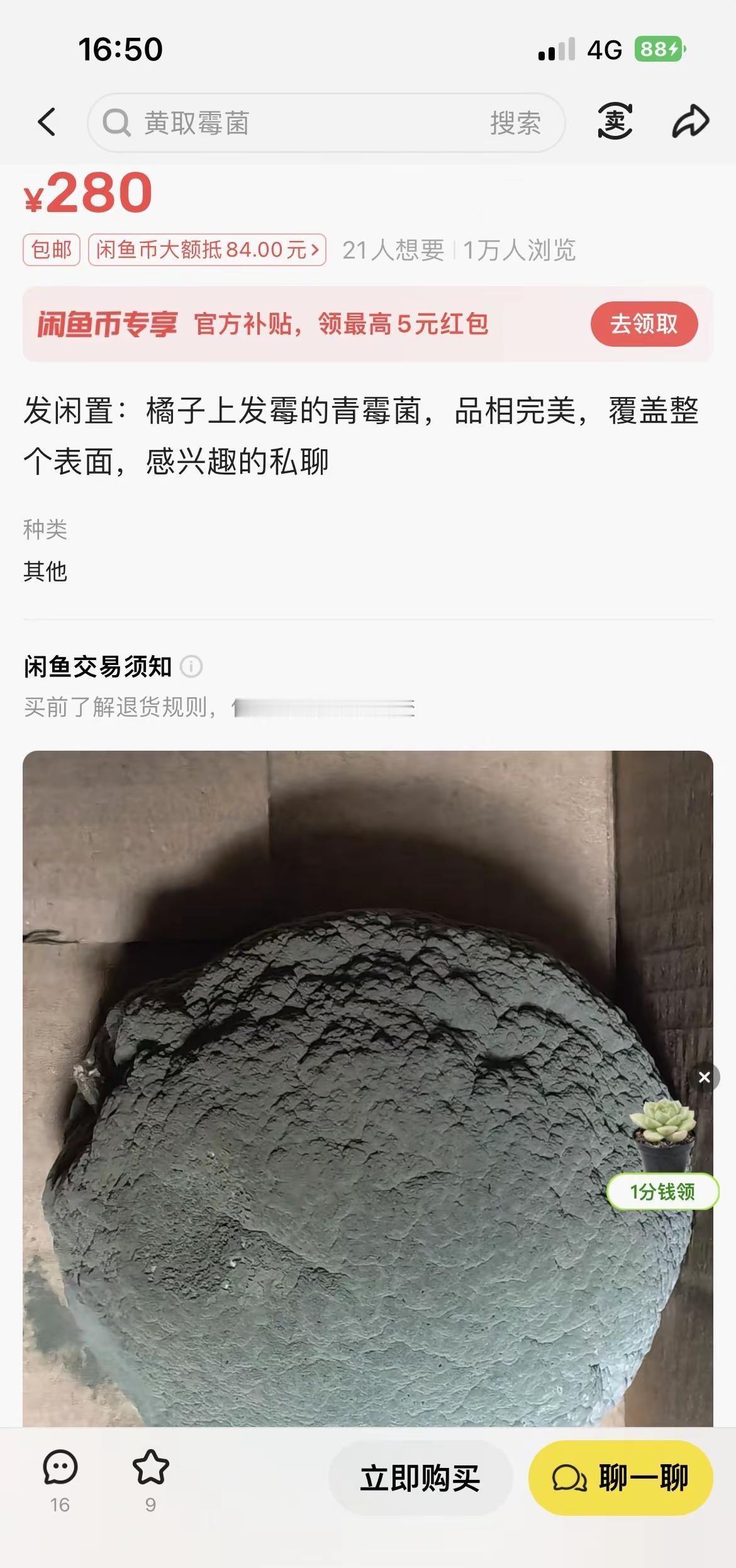 我滴老亲娘耶😂真是只有你想不到，没有咸鱼卖不了的东西🤓….以后这种发霉的水果