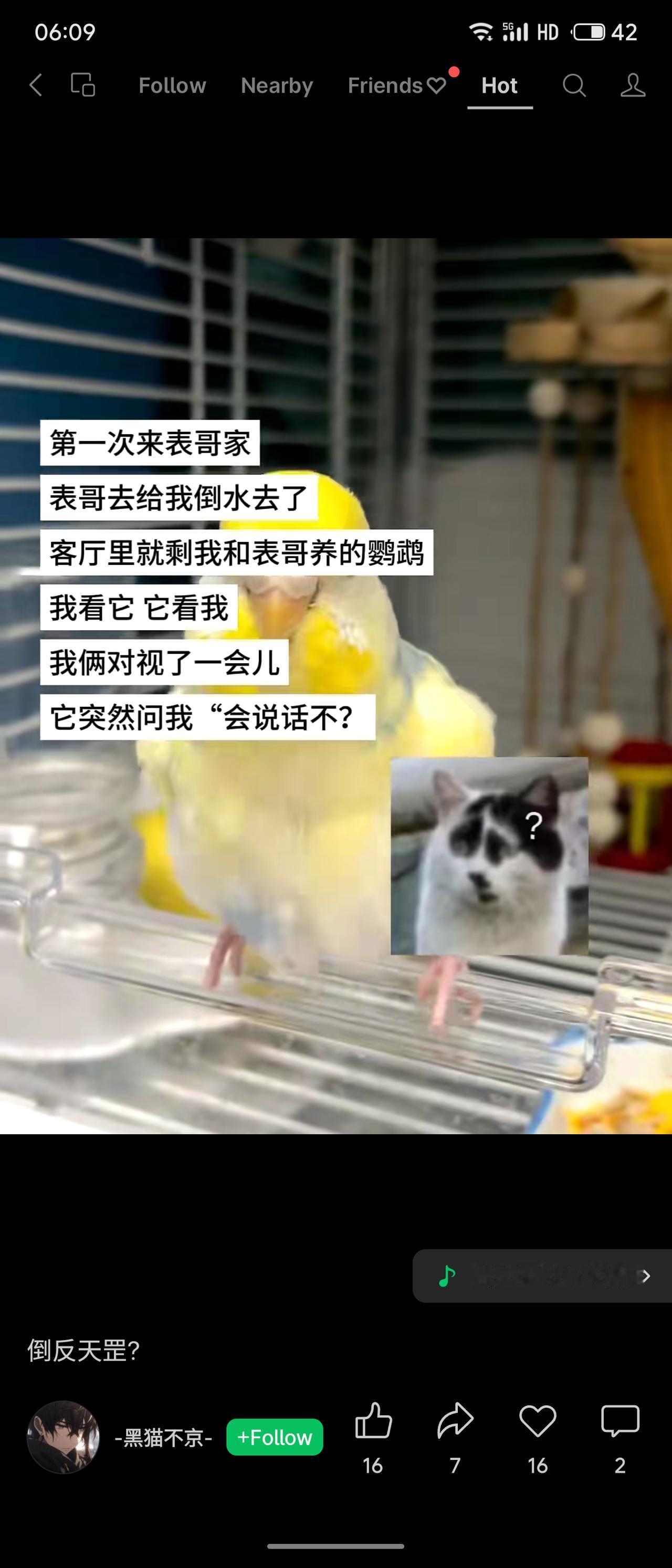 表哥倒水去，客厅只剩我与鹦鹉对视。它突然开口问：“会说话不？”人未教鸟，反被鸟问