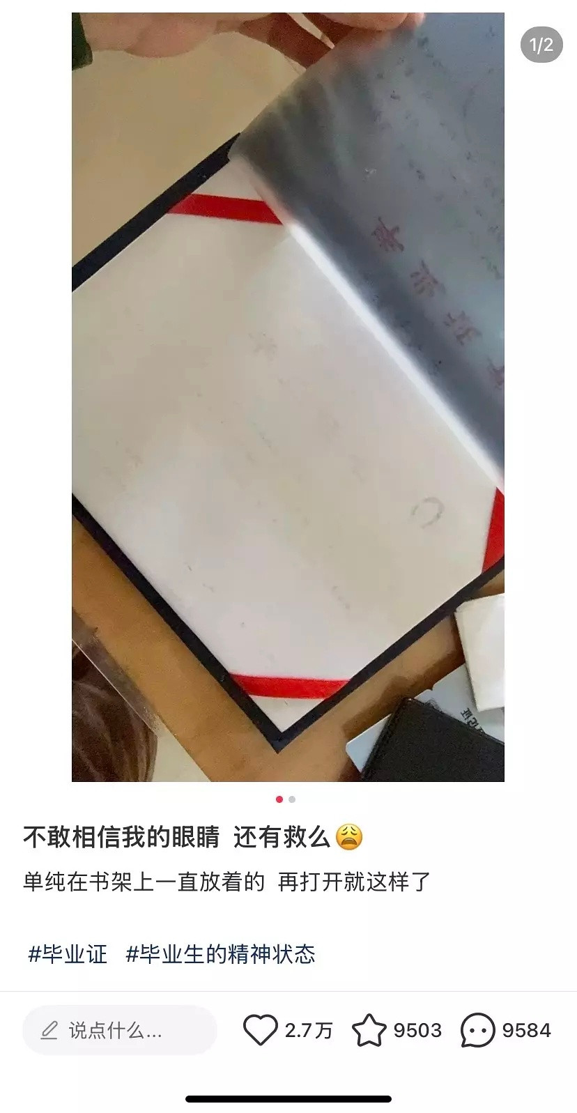 ⚠️小心学位证、毕业证上的字会消失​​​