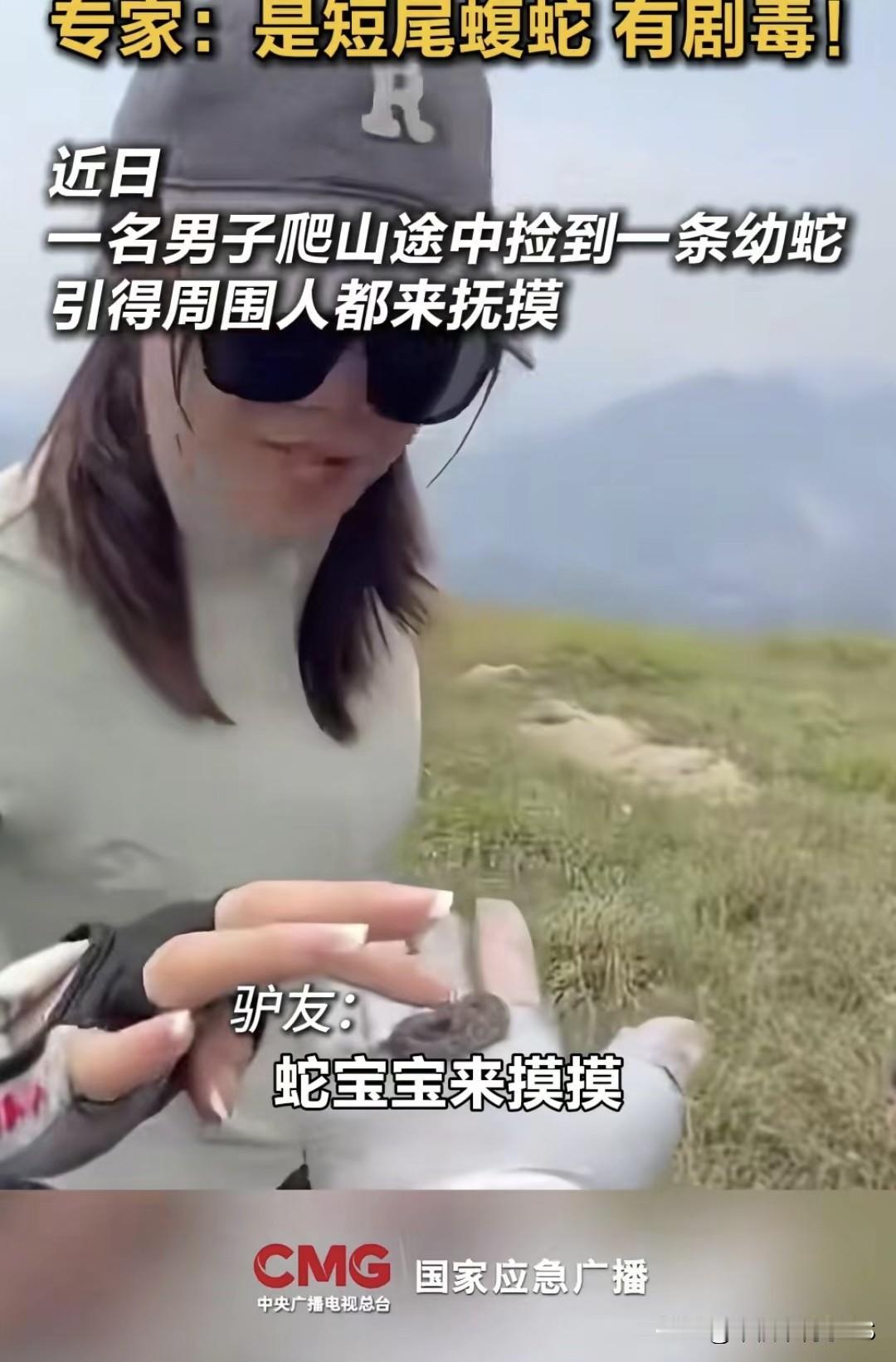 无知的人真的很可怕，最近有群驴友爬山捡了条小蛇，还喊着“蛇宝宝来摸摸”，一个个轮