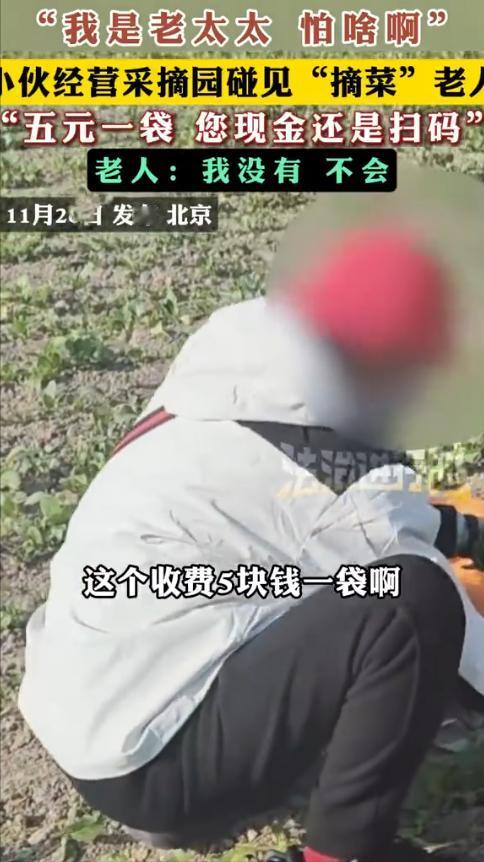 “我是老太太怕啥呀”，第一次见偷东西还这么理直气壮的。到底是老人变坏了，还是