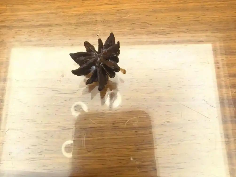 浙江一位妈妈买回香料炖肉，正准备往锅里扔两颗“八角”，一旁的小朋友突然指着调料好