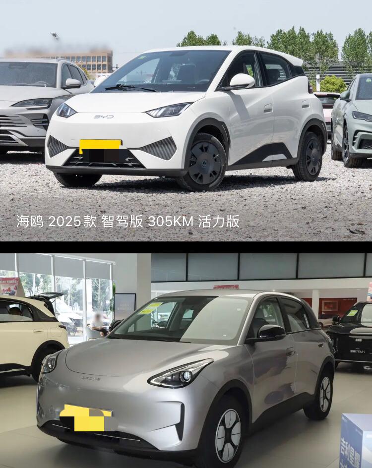 星愿和海鸥两款车型谁更有性价比，更值得拥有星愿和海鸥都定位是小型车，上下班代步