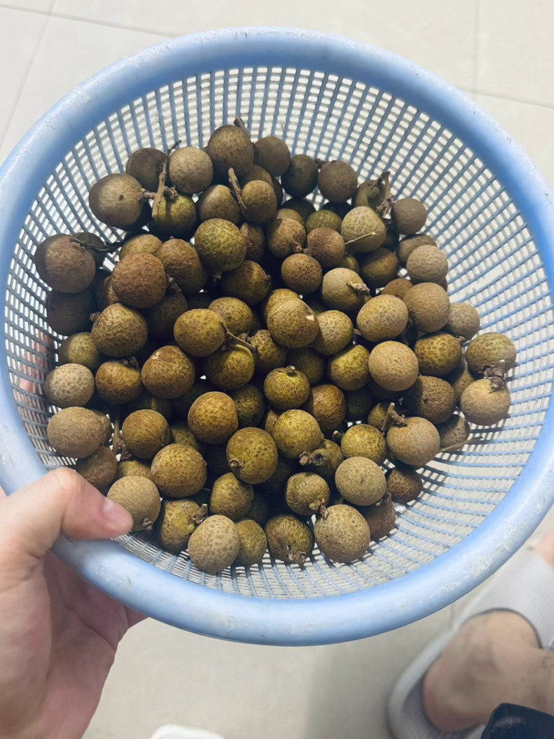 🍌和龙眼你们更爱哪个？