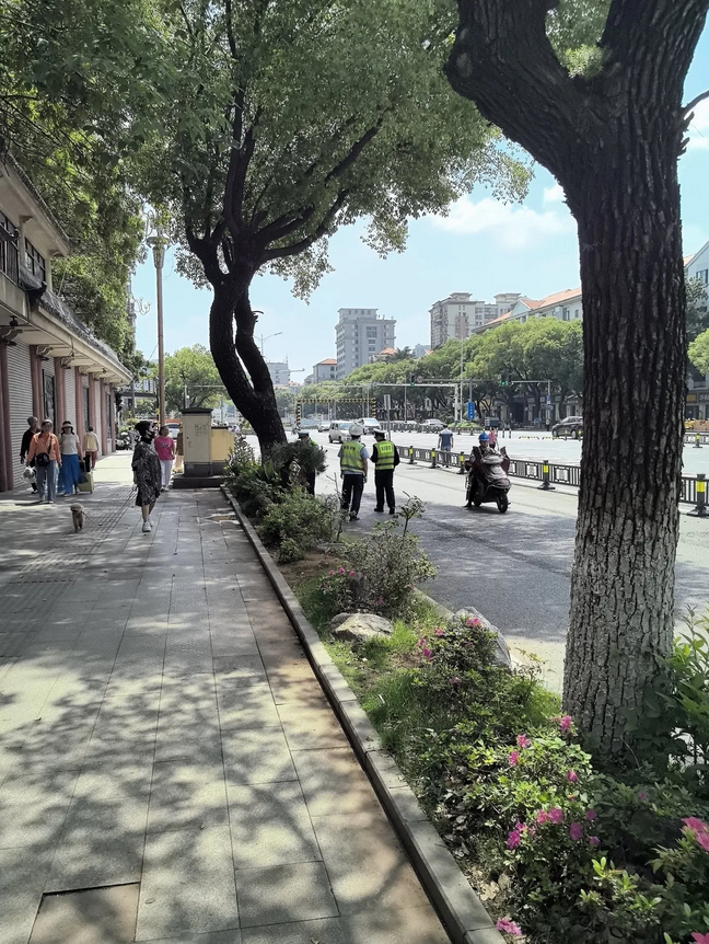 新加坡身份政策下华人的未来危机