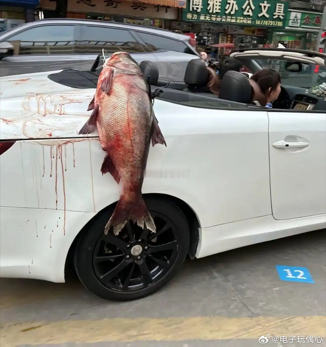 开着七十多万的雷克萨斯豪车，居然吃这么廉价的鲢鱼，不懂有啥好炫耀的。