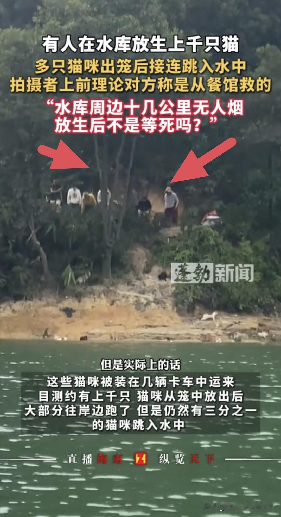 事出反常必有妖，我隐隐觉得这帮人太坏了，以“放生”之名，行“杀生”之实，我