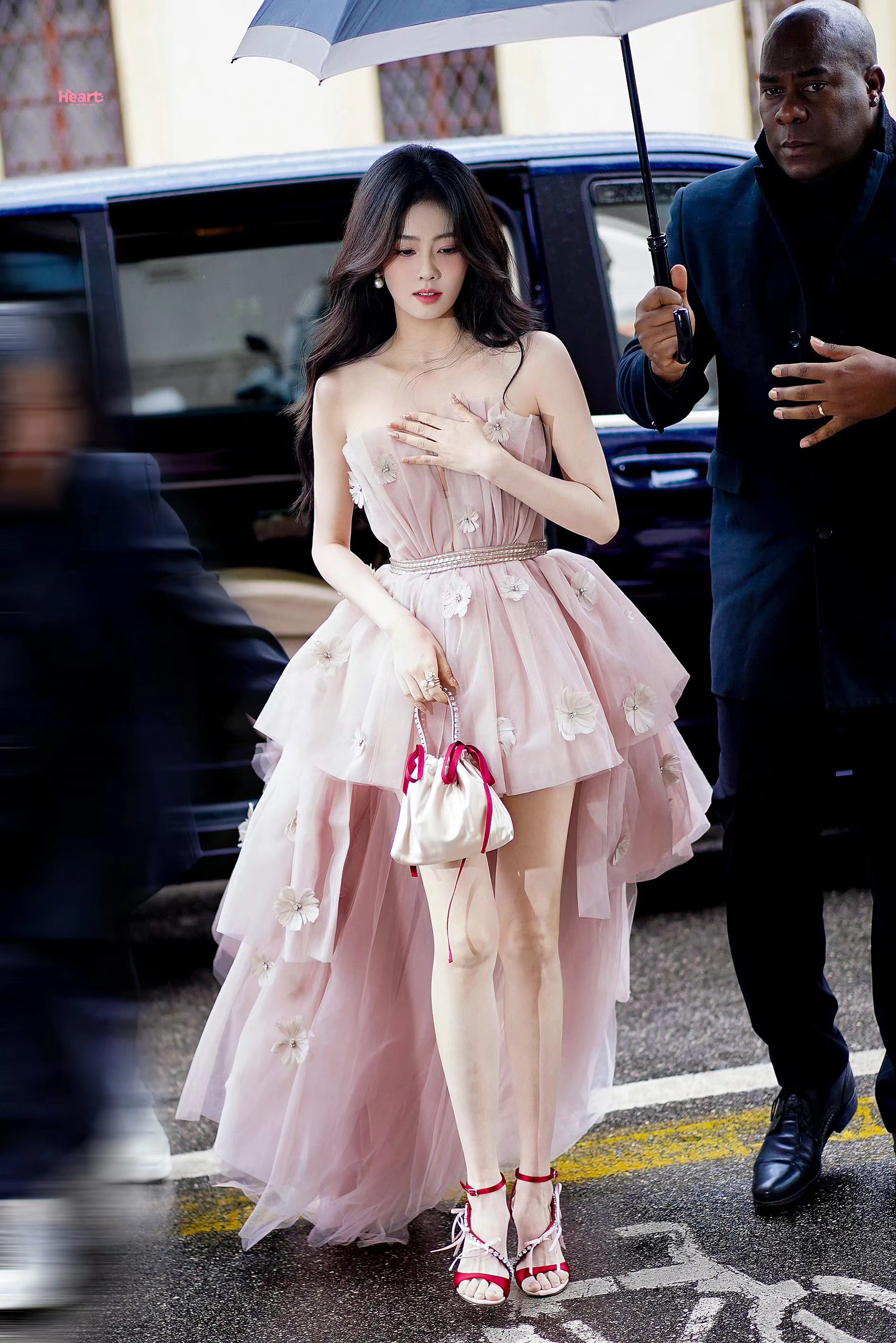 白鹿好美📣📣📣​​​